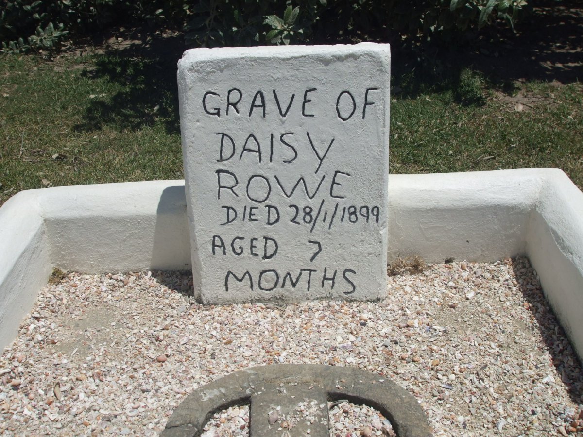 ROWE Daisy -1899_3
