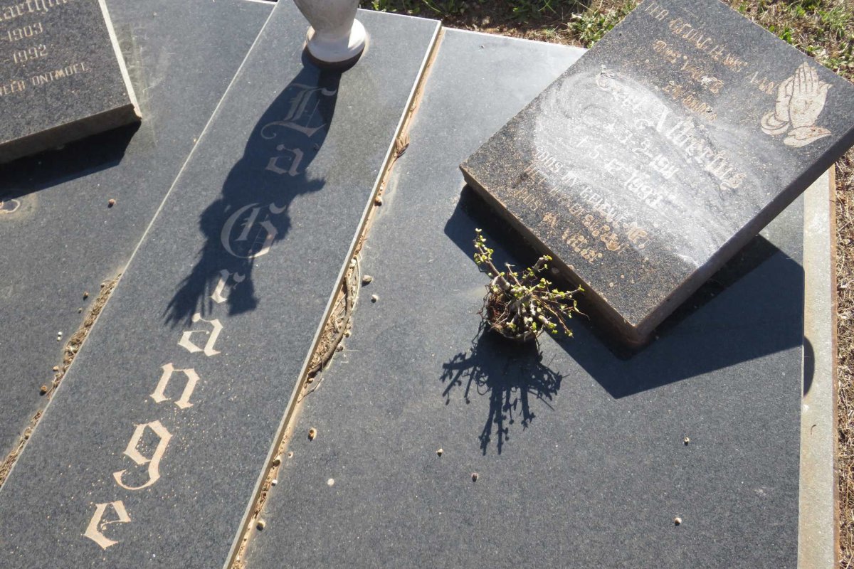 GRANGE Gert Albertus, la 1911-1993 &amp; Dirkie Marthina 1903-1992