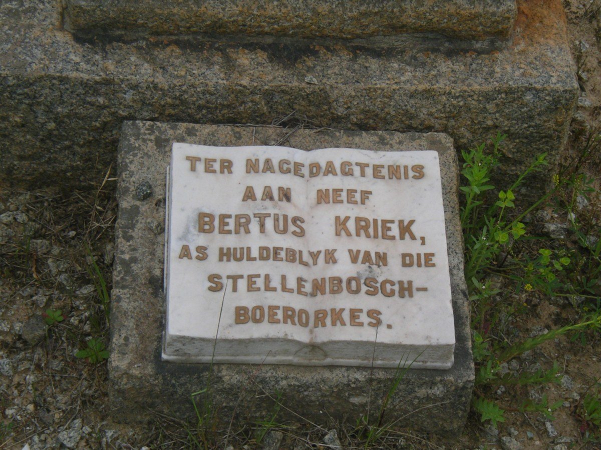 KRIEK Bertus