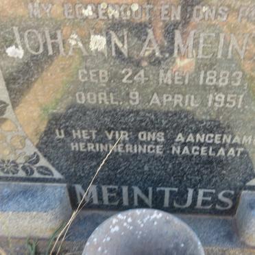 M - Surnames :: Vanne - M