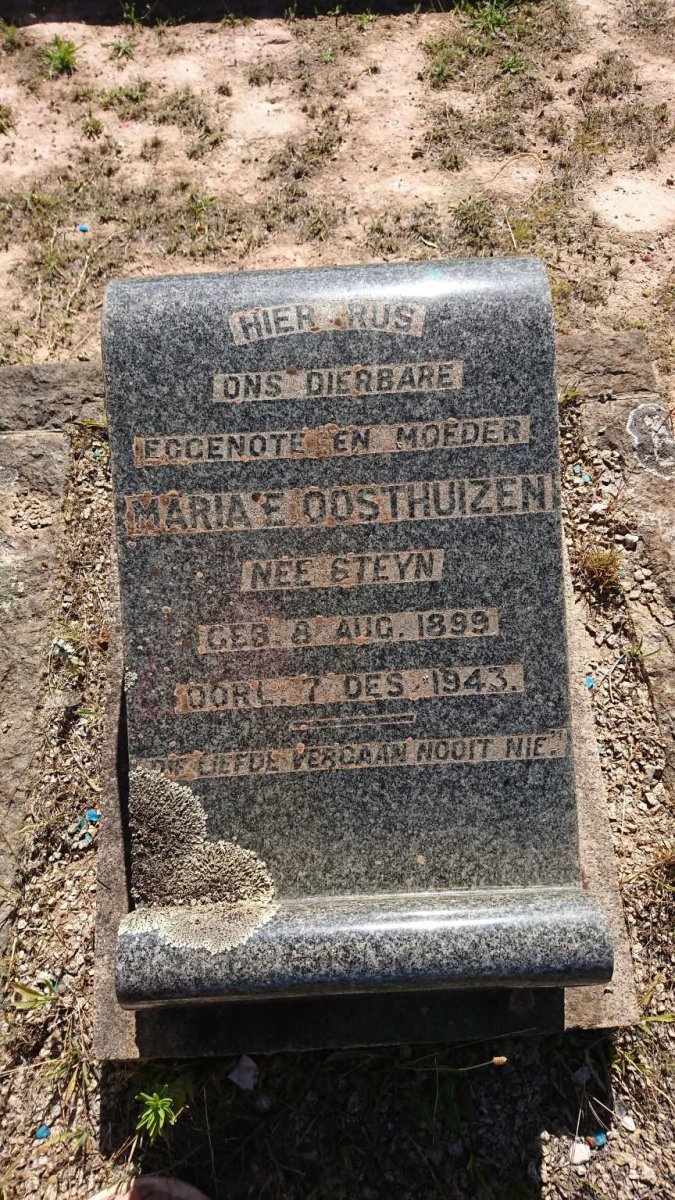 OOSTHUIZEN Maria E. nee STEYN 1899-1943