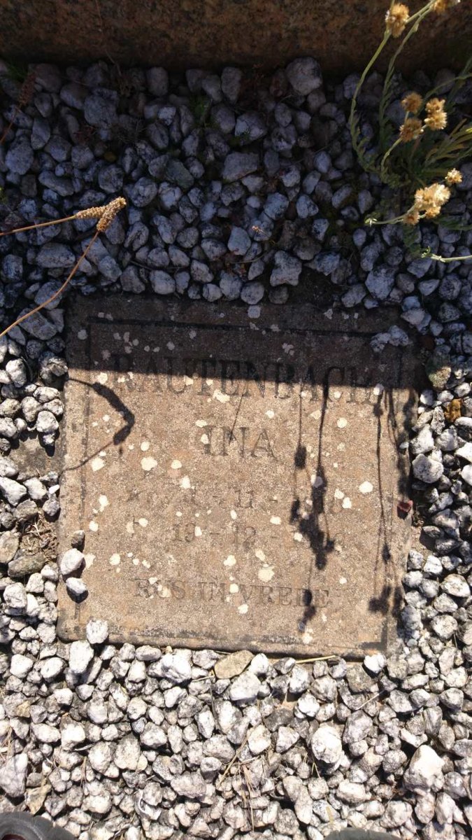 RAUTENBACH Rosina E. nee SMALBERGER 1889-1956 :: RAUTENBACH Ina -19?6