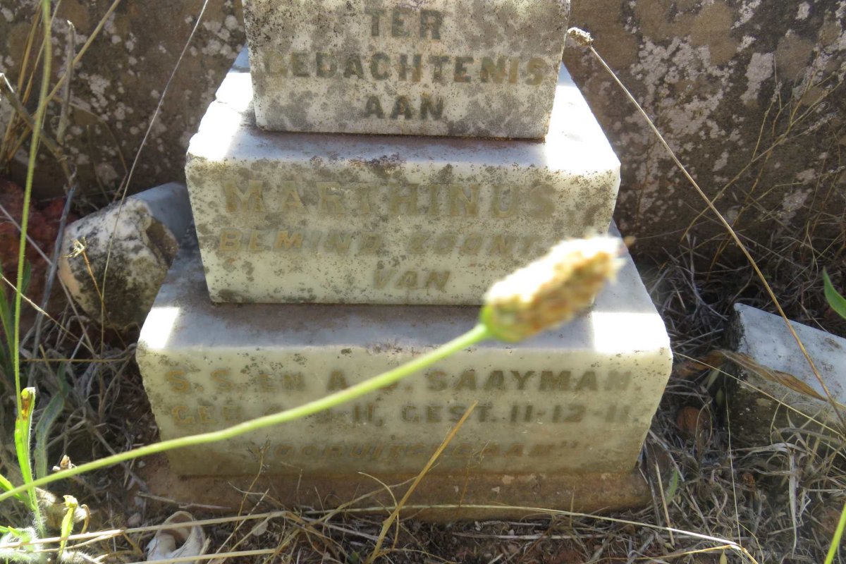 SAAYMAN Marthinus 1911-1911