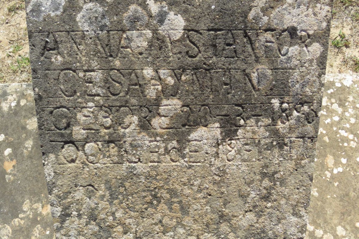 SAAYMAN Anna M. Stanforce 1883-