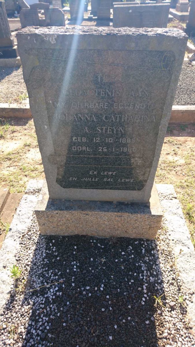 STEYN Johanna Catharina A.1885-1960