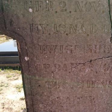 WENTZEL H.J. 1869-1945