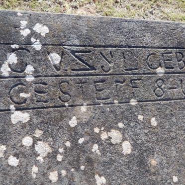 ZYL C., v. 1897-196?