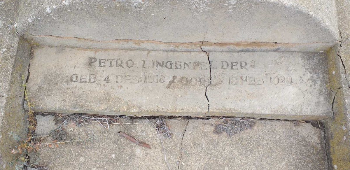 LINGENFELDER Petro 1918-1920