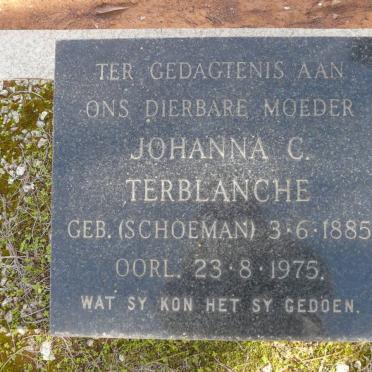 T - Vanne :: Surnames - T