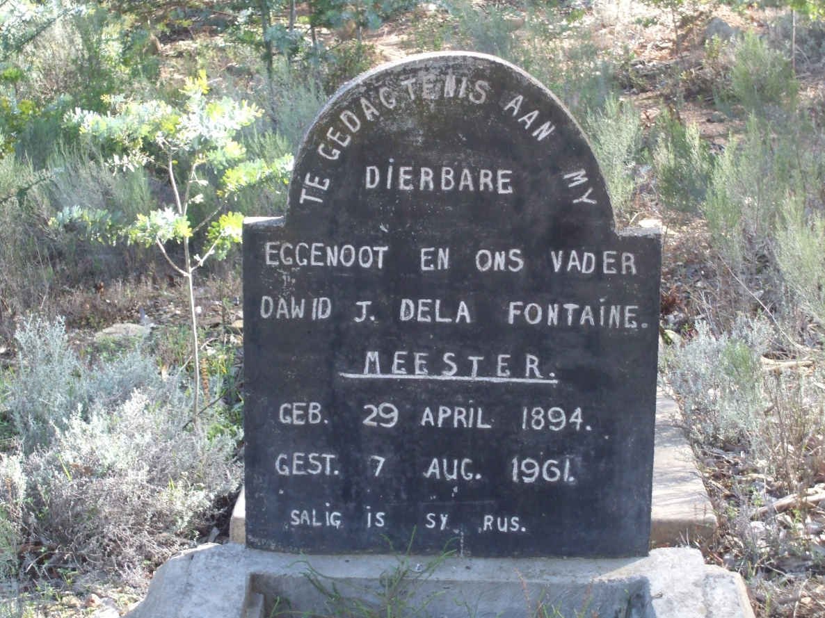 FONTAINE Dawid J. Dela 1894-1961