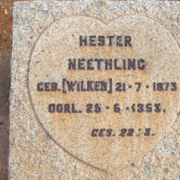 NEETHLING Hester nee WILKEN 1873-1953