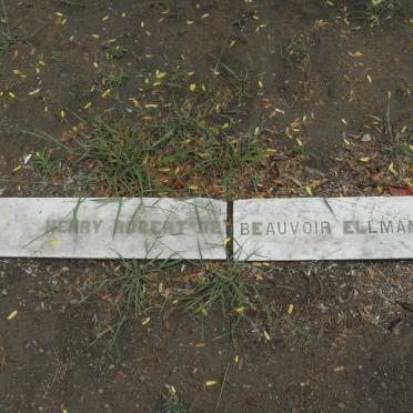 ELLMAN Henry Robert de Beauvoir -1885