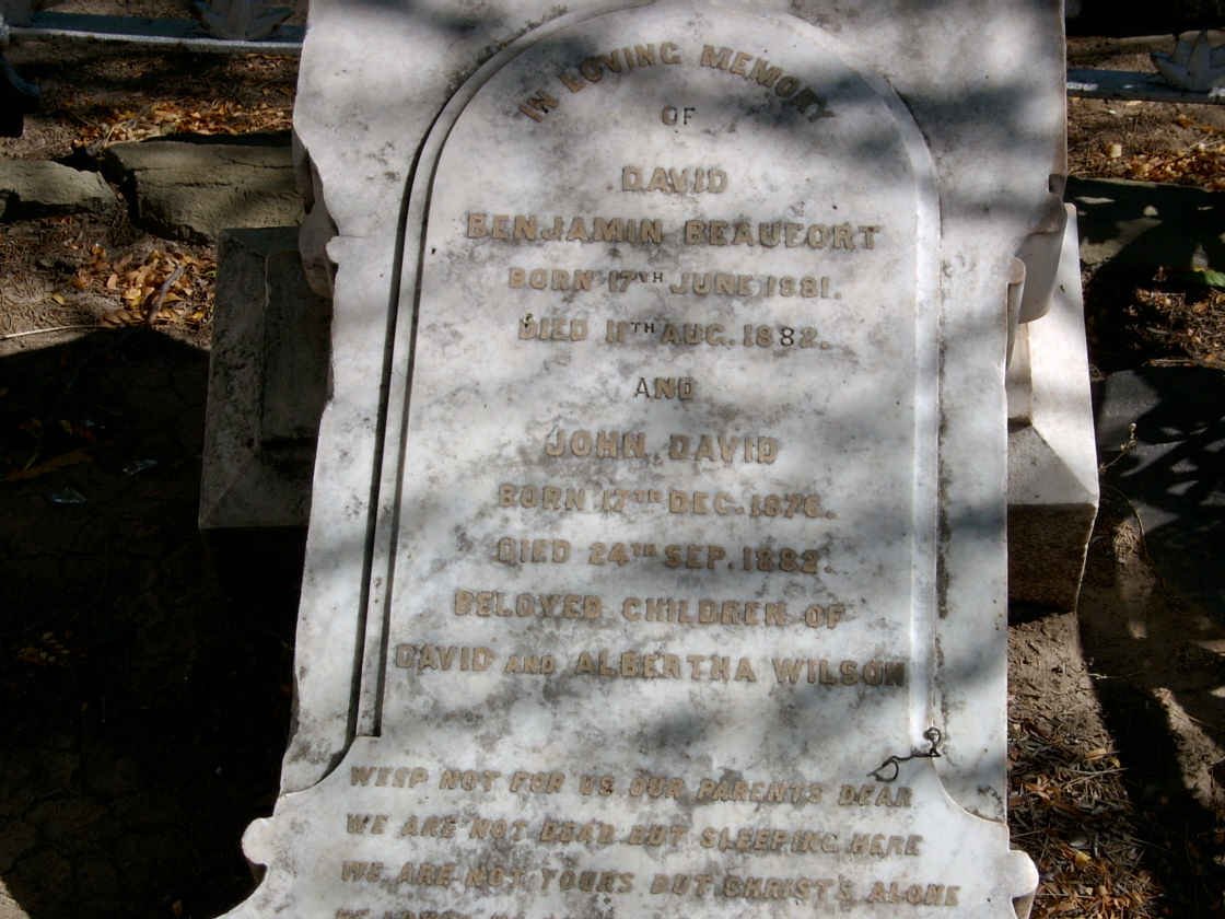 WILSON David Benjamin Beaufort 1881-1882 :: WILSON John David 1876-1882