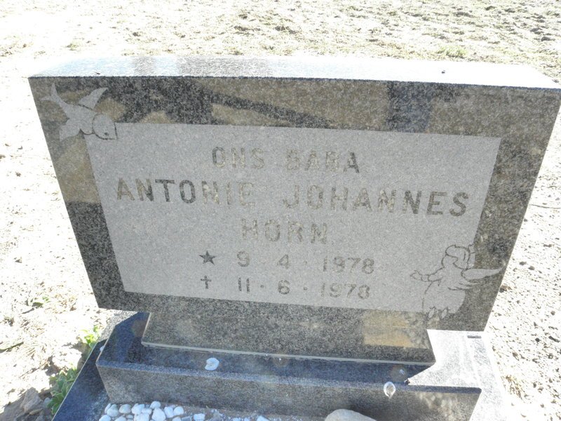 HORN Antonie Johannes 1978-1978