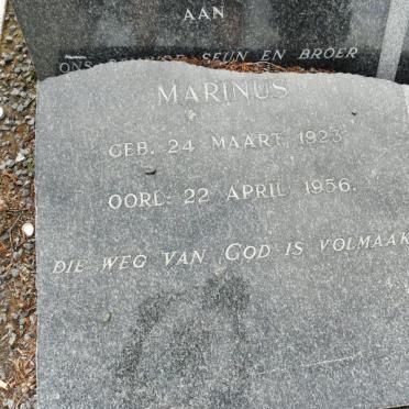 PIENAAR Marinus 1923-1956