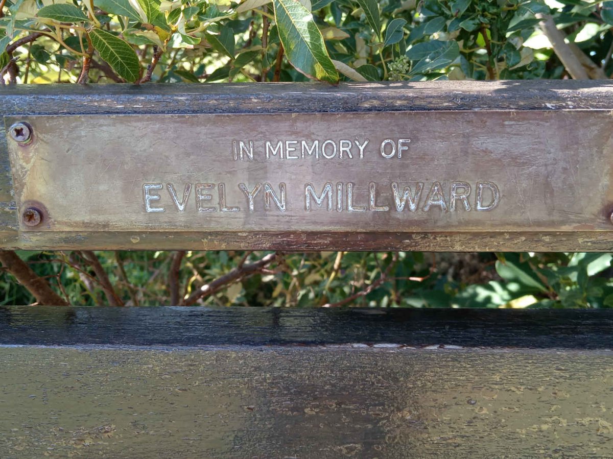 MILLWARD Evelyn