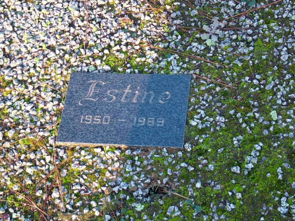 ?? Estine 1950-1989