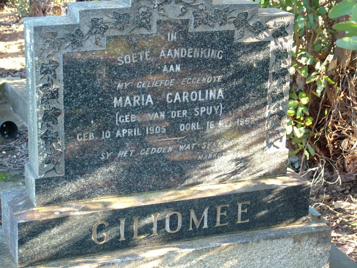 GILIOMEE Maria Carolina nee VAN DER SPUY 1905-1952