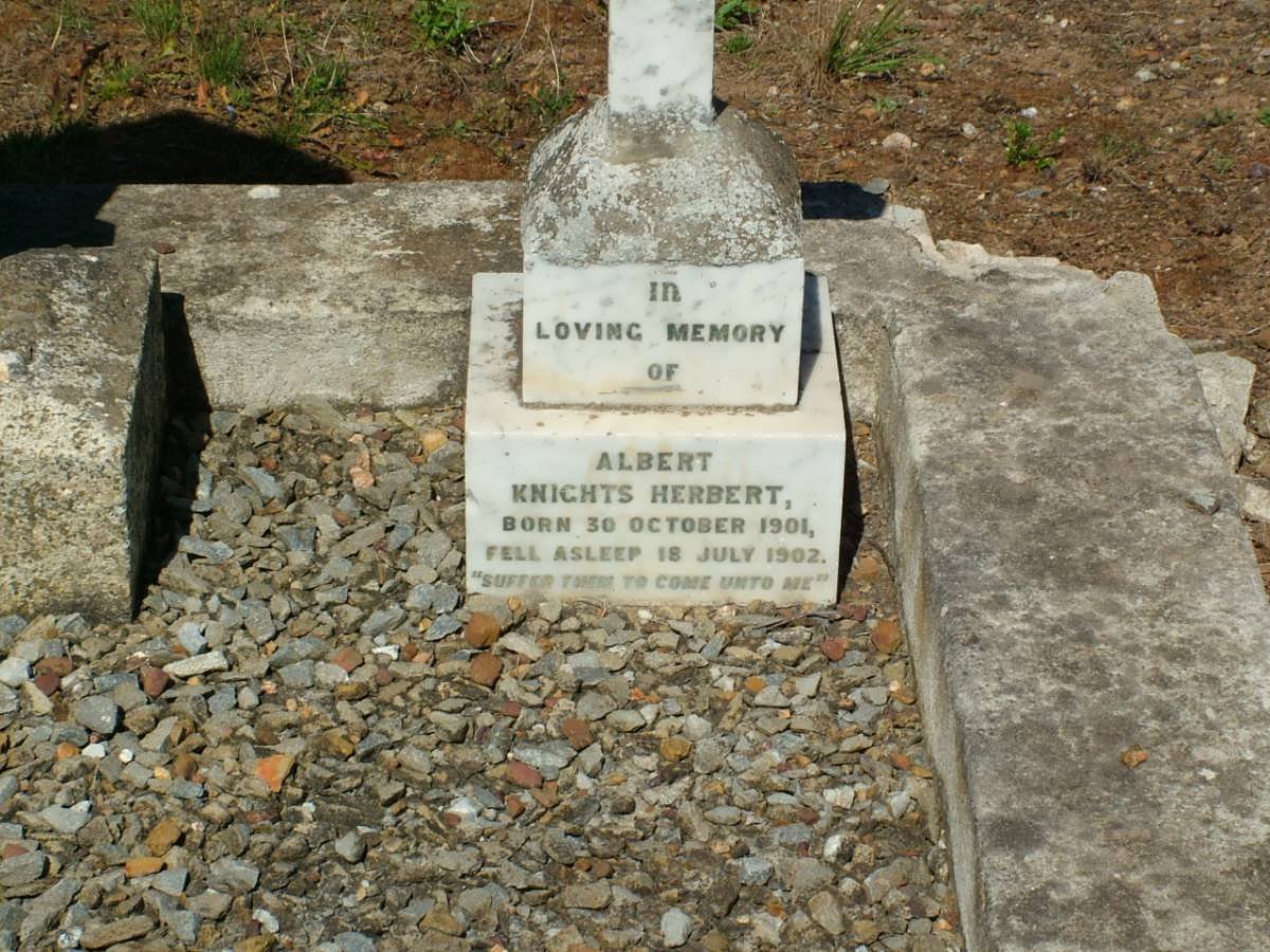 HERBERT Albert Knights 1901-1902