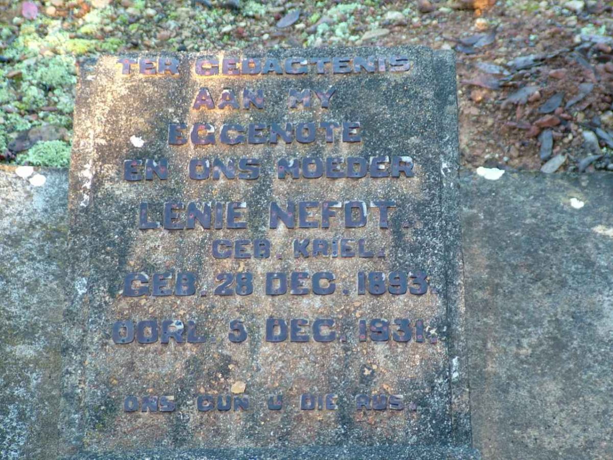 NEFDT Lenie nee KRIEL 1893-1931
