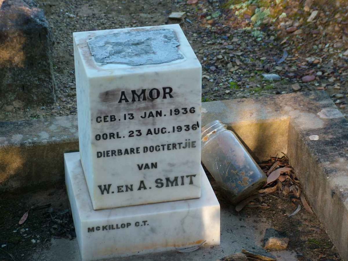 SMIT Amor 1936-1936