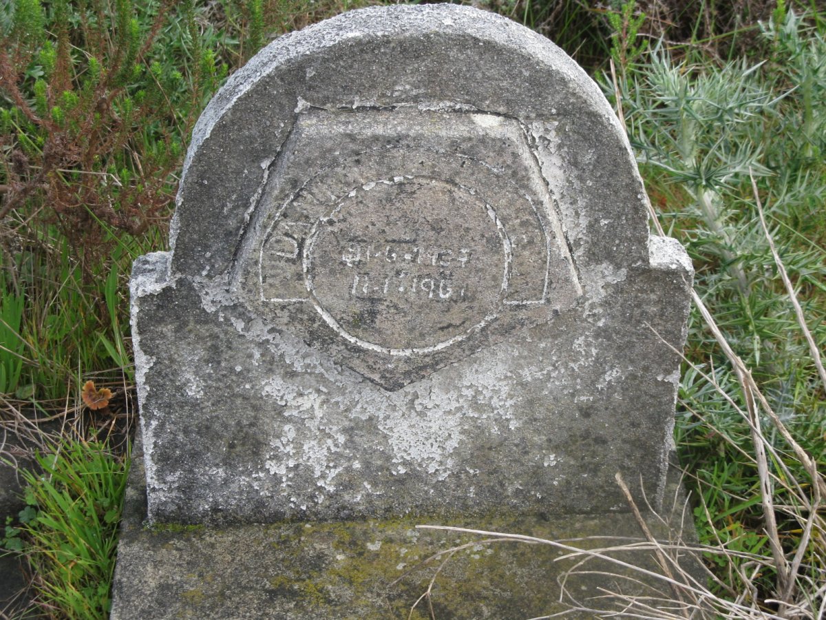 ? Danie? 1934-1961