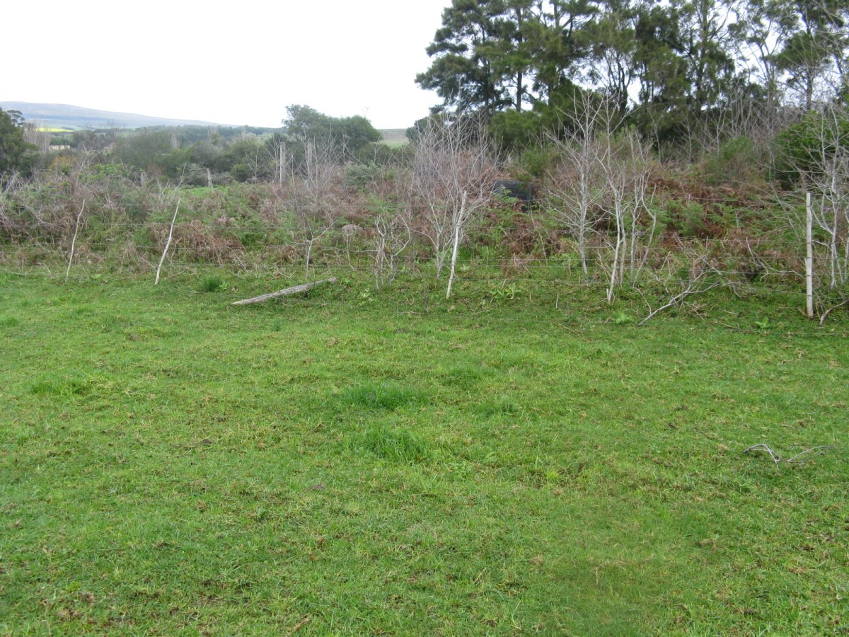 2. Overview / Oorsig