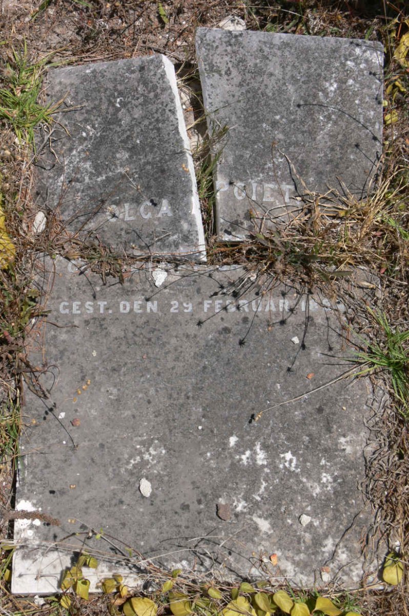 POIET Olga -1896