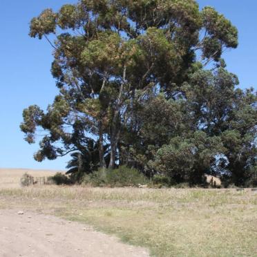 1. Road to Ouplaas Cemetery