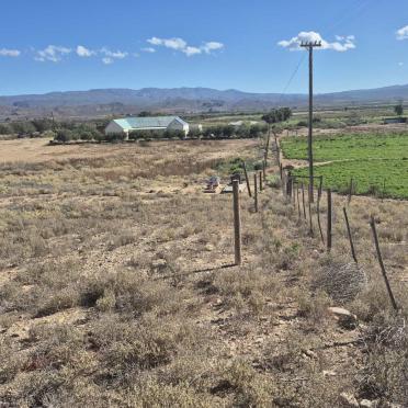 Western Cape, CALITZDORP district, Calitzdorp, Goedverwagting 35_11, farm cemetery