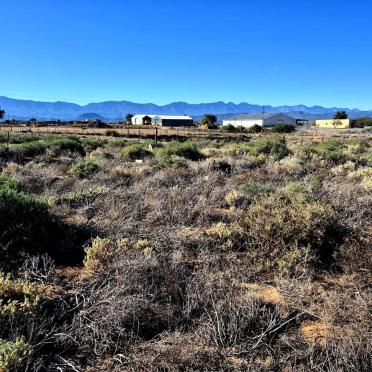 Western Cape, CALITZDORP district, Calitzdorp, Goedverwagting 35_2, farm cemetery