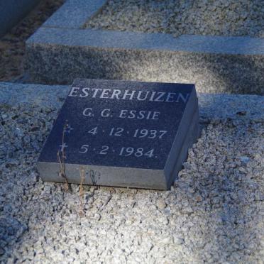 ESTERHUIZEN G.G. 1937-1984