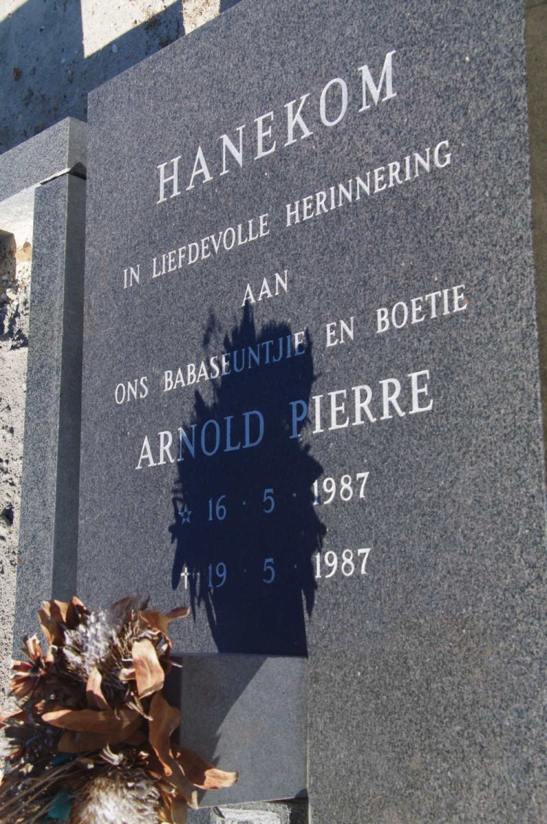 HANEKOM Arnold Pierre 1987-1987