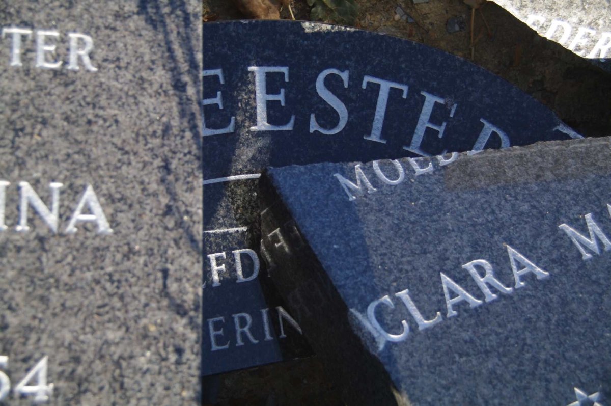 HOFMEESTER Clara Magdalena 1922-2006 :: ? Frances Rina 1954-1994