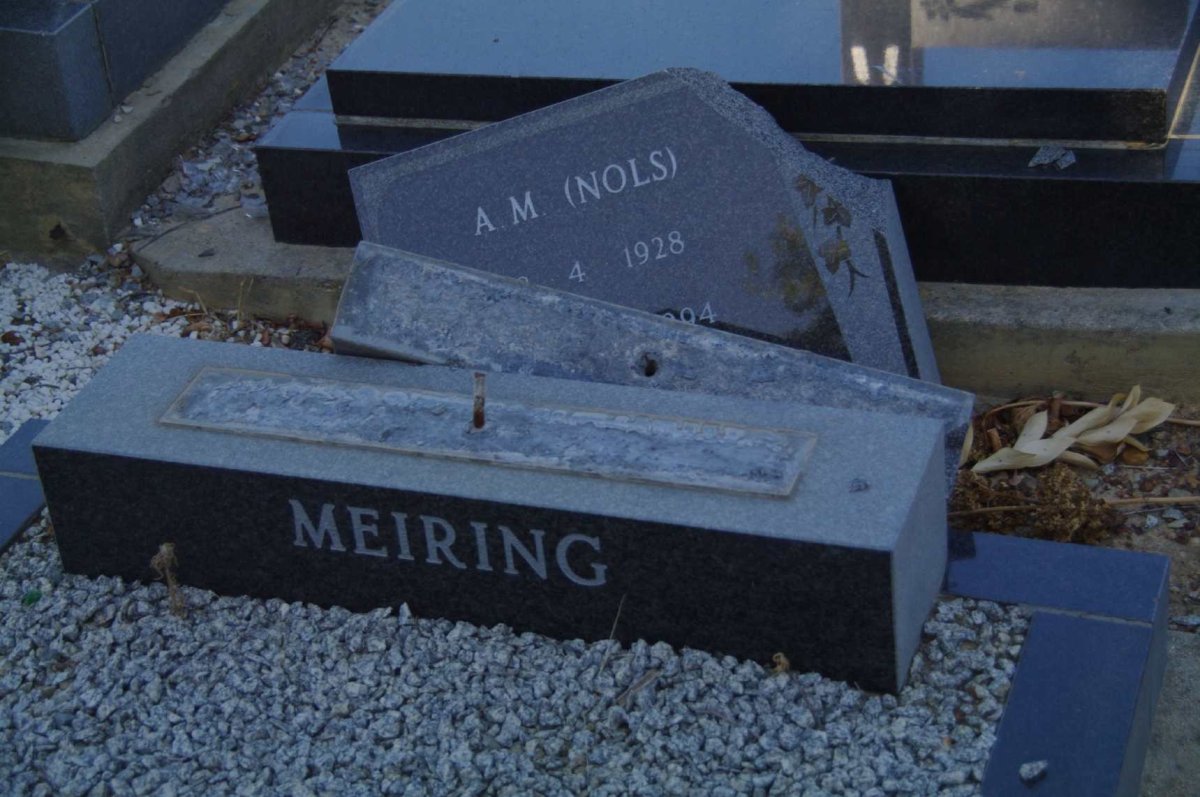 MEIRING A.M. 1928-1994