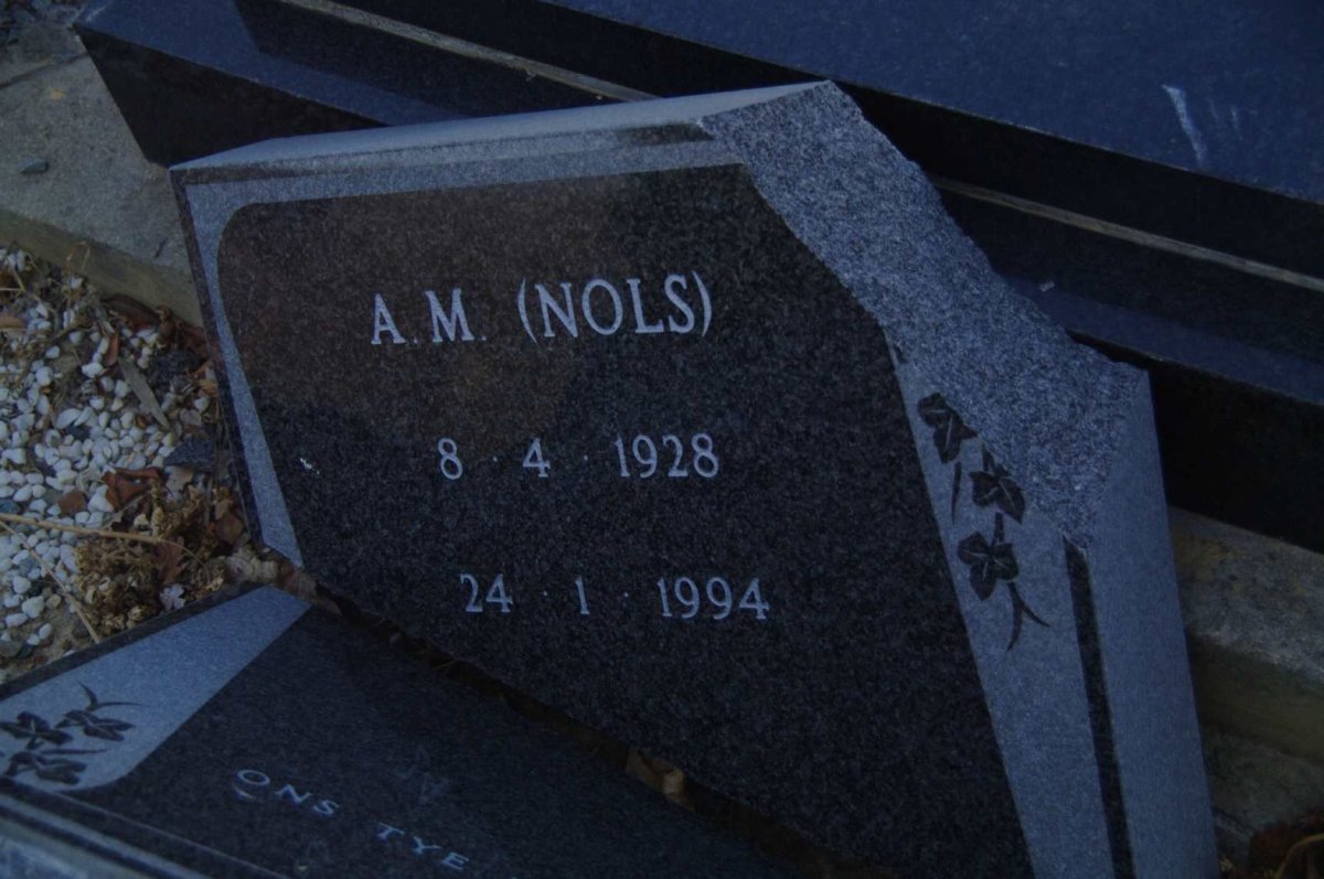 MEIRING A.M. 1928-1994