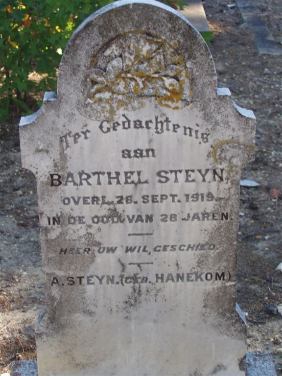STEYN Barthel -1919