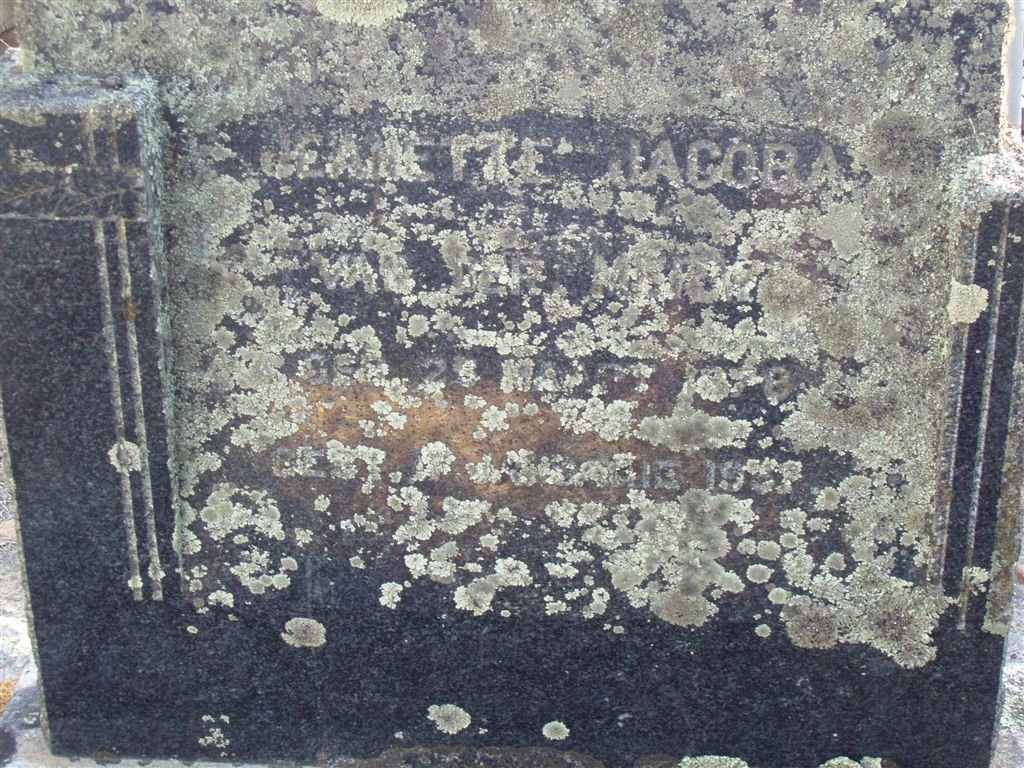 MERWE Jeanette Jacoba, van der 1878-19??