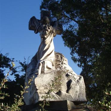 MERWE ?, v. d. ??