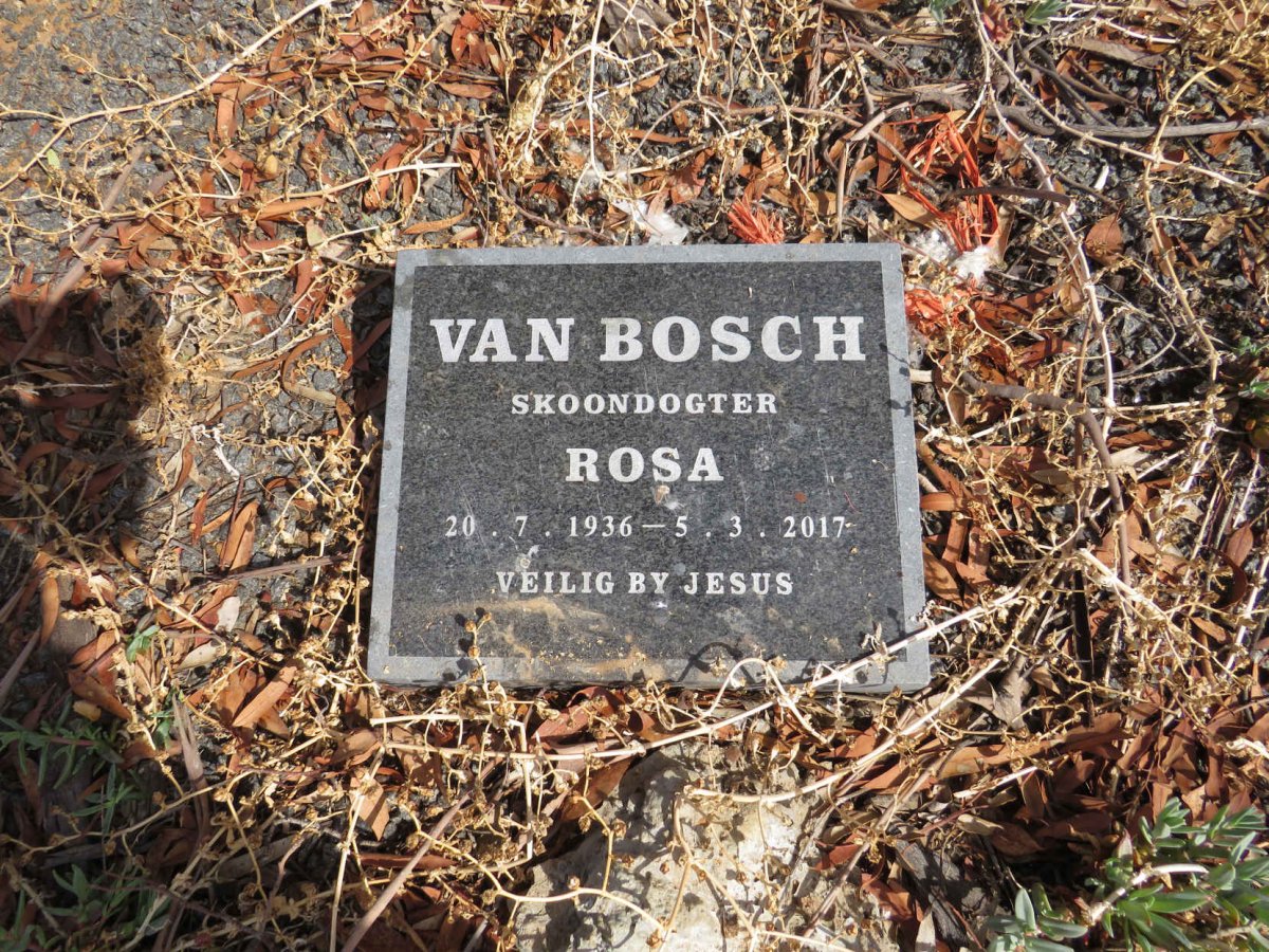 BOSCH Rosa, van 1936-2017