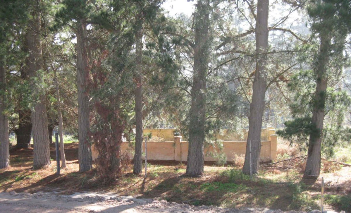1. Overview