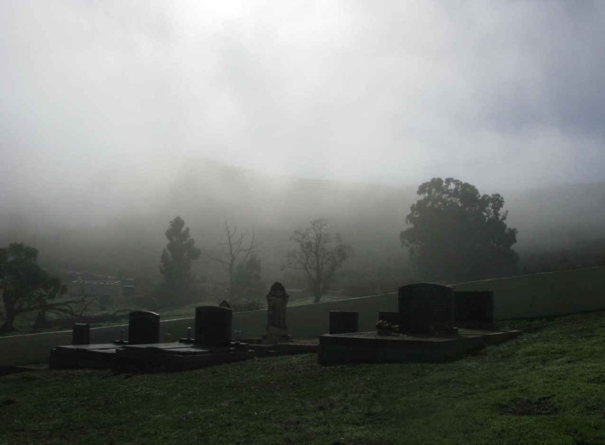 2. Overview
