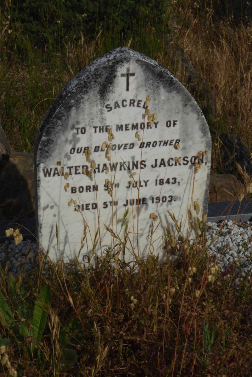 JACKSON Walter Hawkins 1843-1903