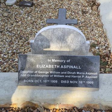 ASPINALL Elizabeth 1909-1909_1
