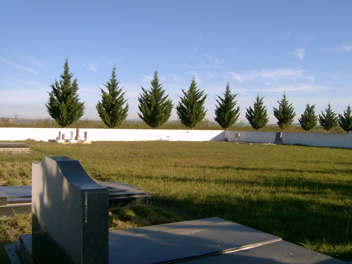 1. Overview