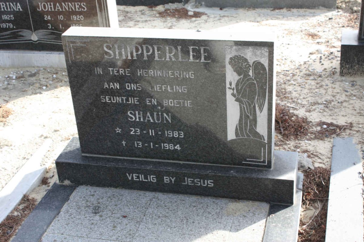 SHIPPERLEE Shaun 1983-1984