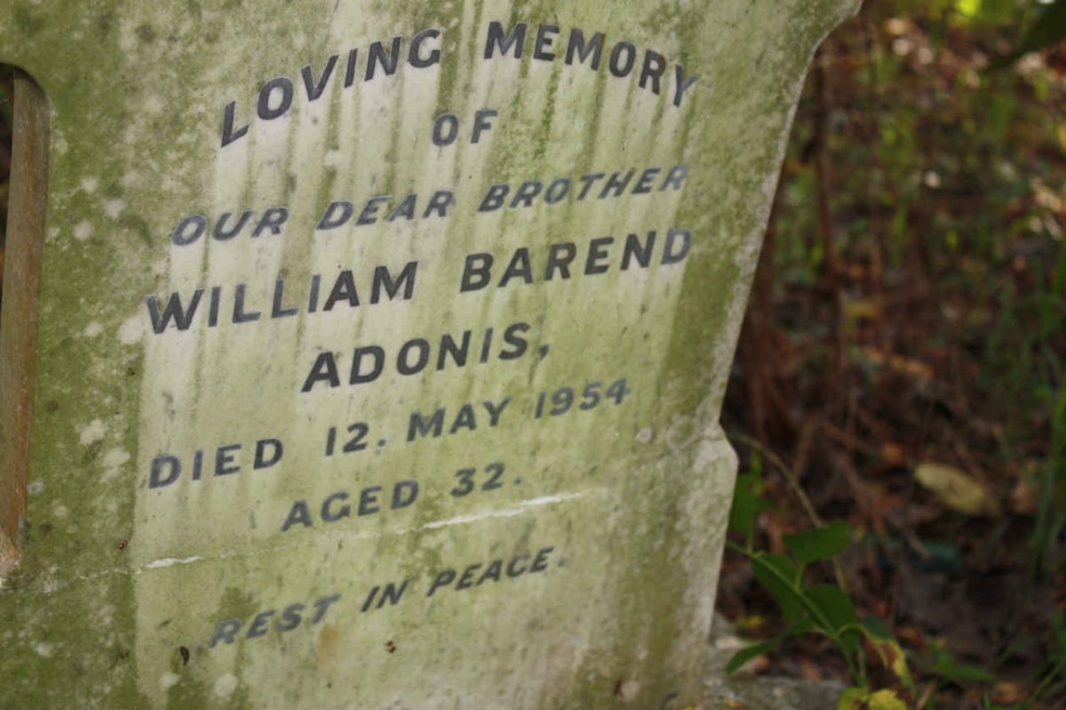 ADONIS William Barend -1954