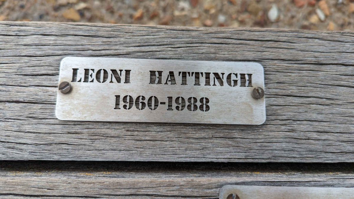 HATTINGH Leoni 1960-1988