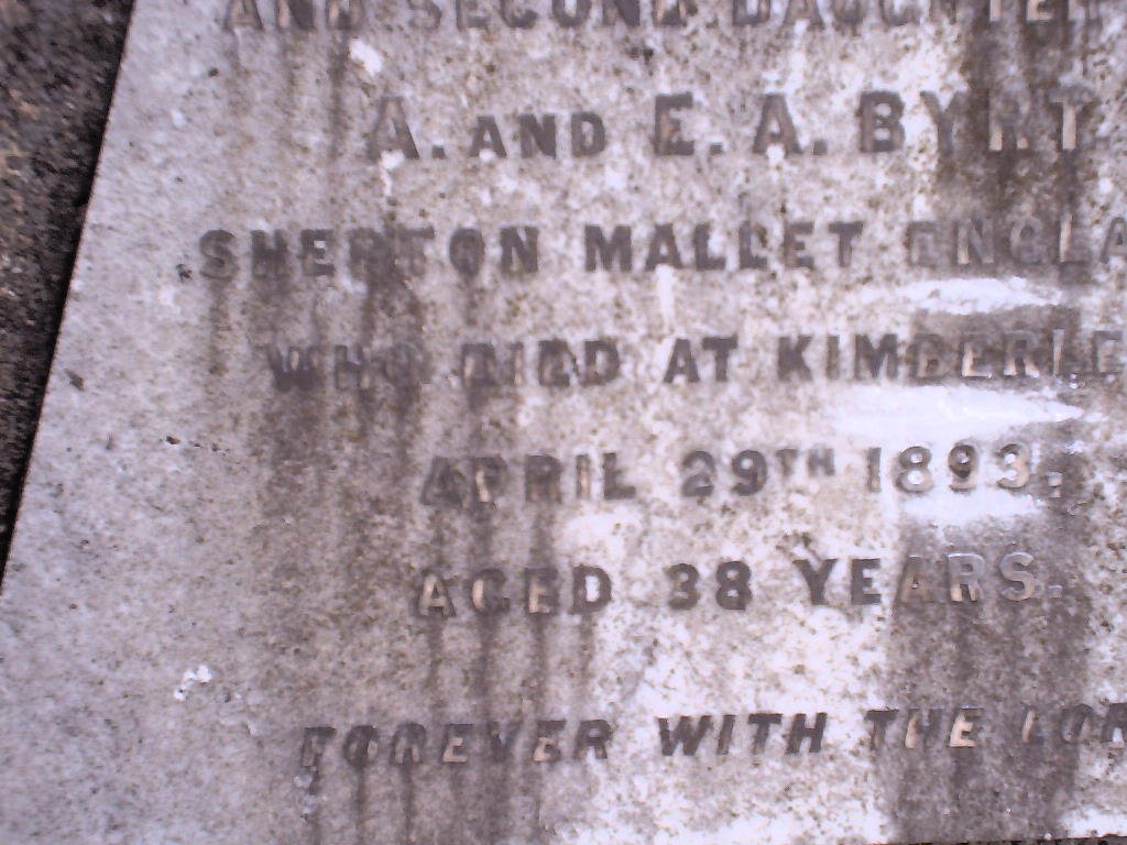 BEDGGOOD Julia Annie 1833-1893