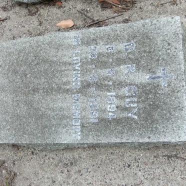 GUY D.R. 1894-1981